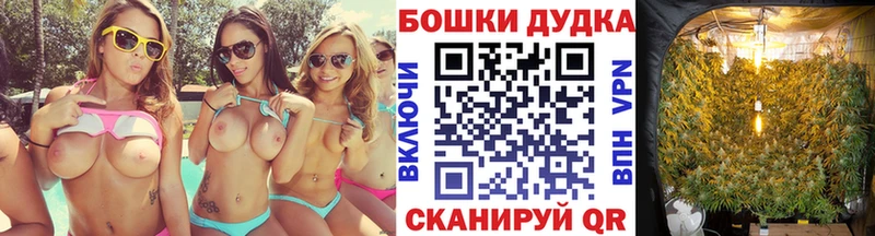 Конопля OG Kush  где продают наркотики  Славск 